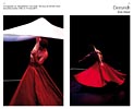 Extrait livre 2011 - page 21